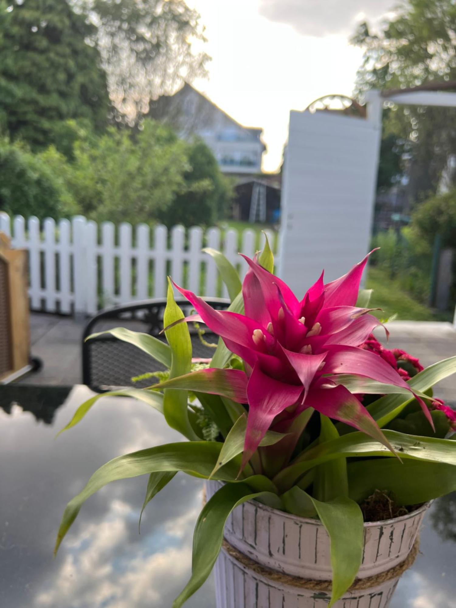 Auszeit Im Pott - Ferienwohnung Lavendel Herten (North Rhine-Westphalia) Exterior foto